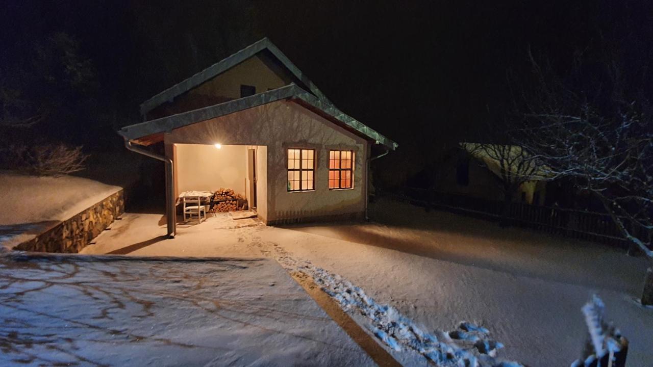 Kuca Za Odmor Virtus Goc Villa Vrnjačka Banja Eksteriør bilde